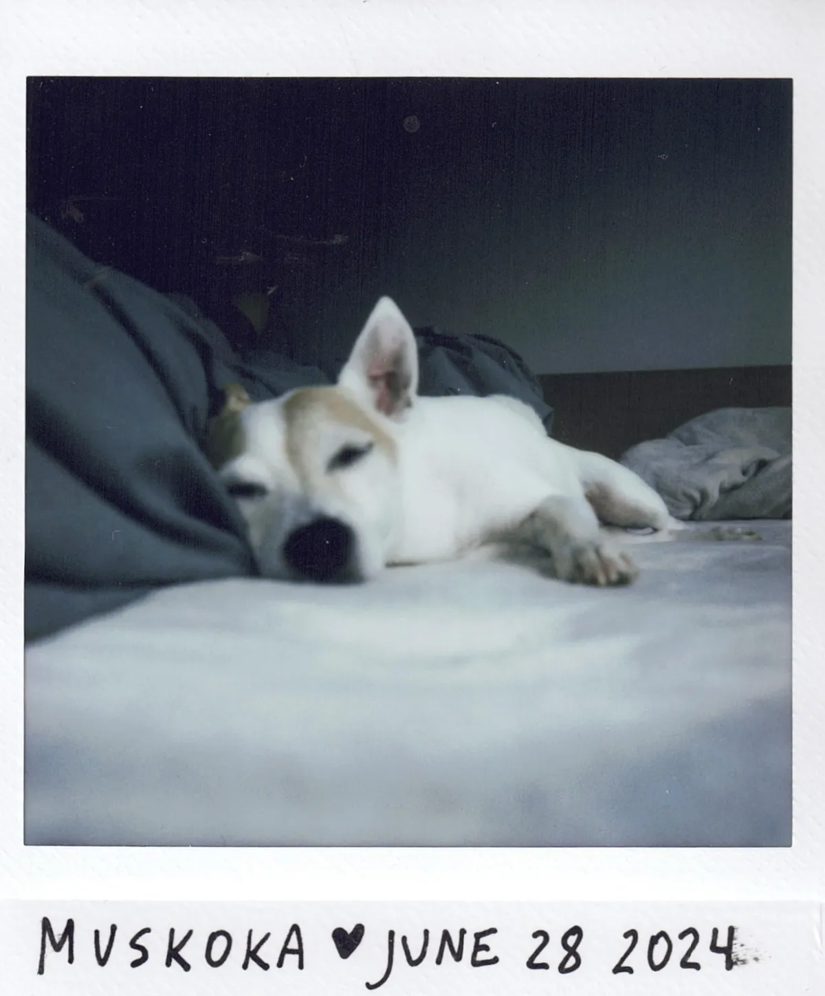 20241228124011_001_VSCO