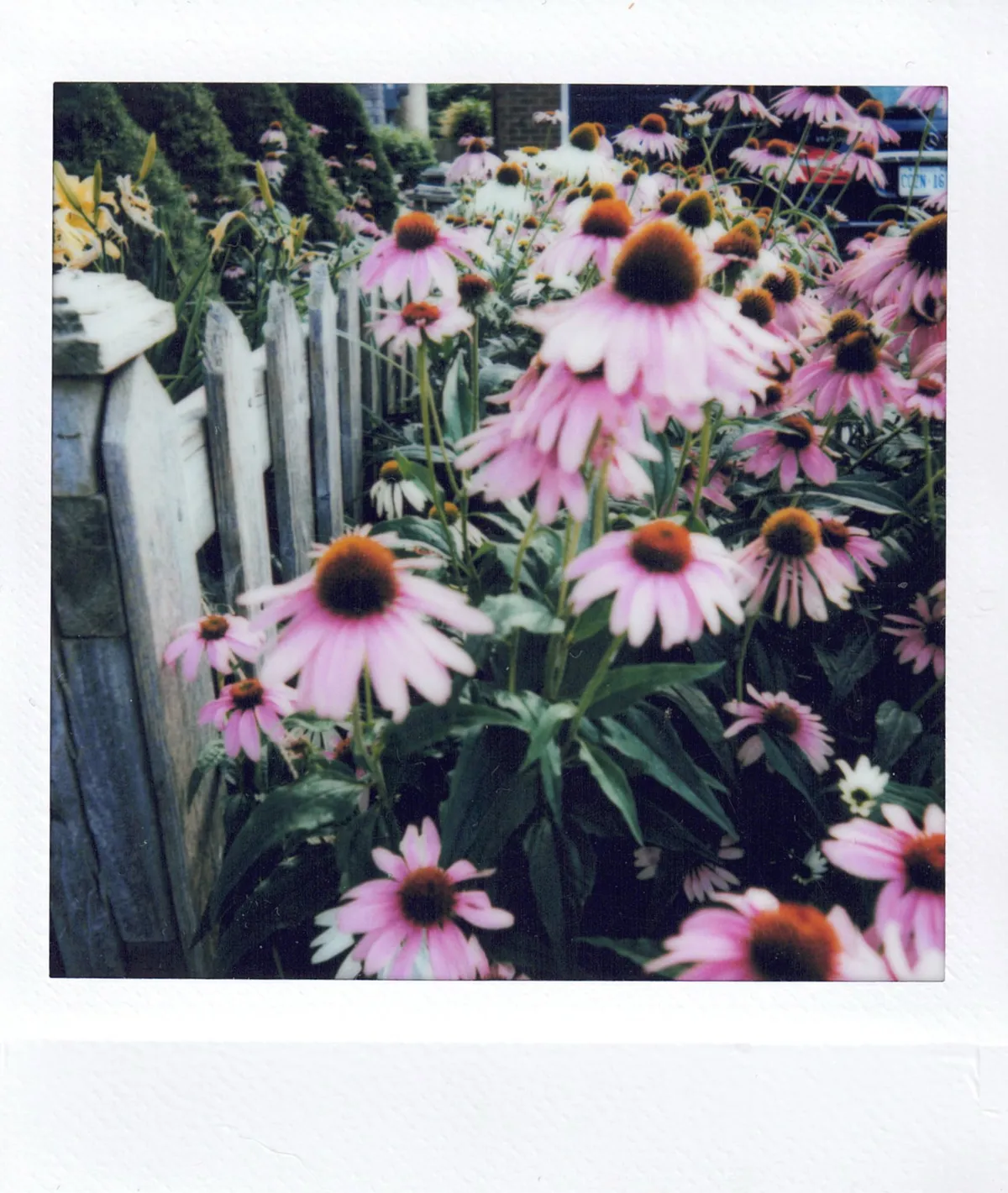 20241228124126_001_VSCO