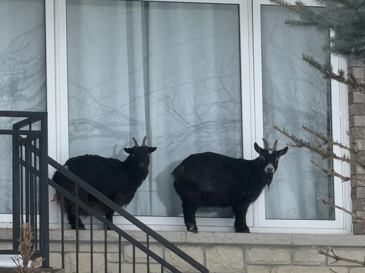 312D881B-5112-406C-A531-6F14CC0C3D89