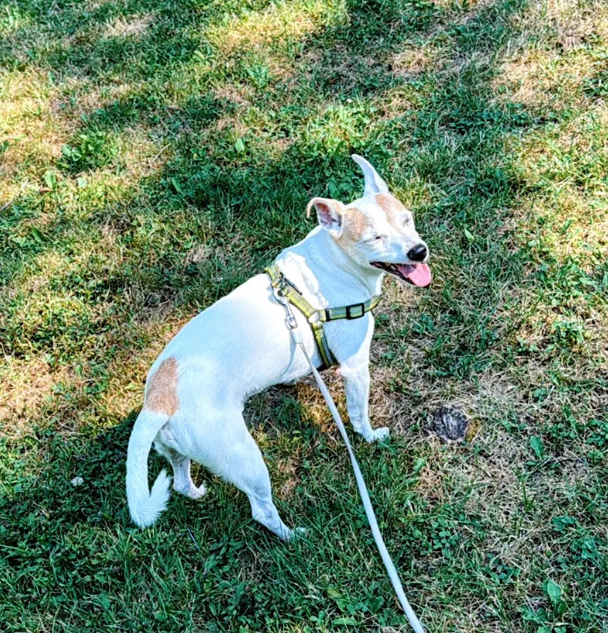 771FA1D7-90C7-4B1D-A8BA-8EEB32909089_VSCO 2