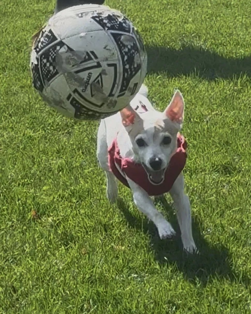 8D4253FA-5FD5-4B5D-8DFE-19709F1A0CB1 2