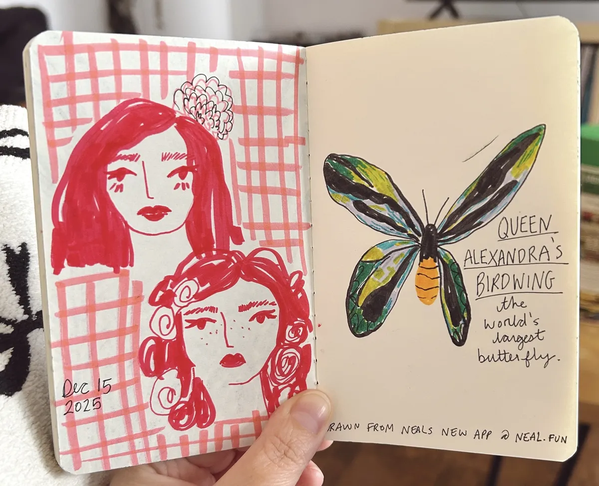 FullSizeRender_VSCO 29