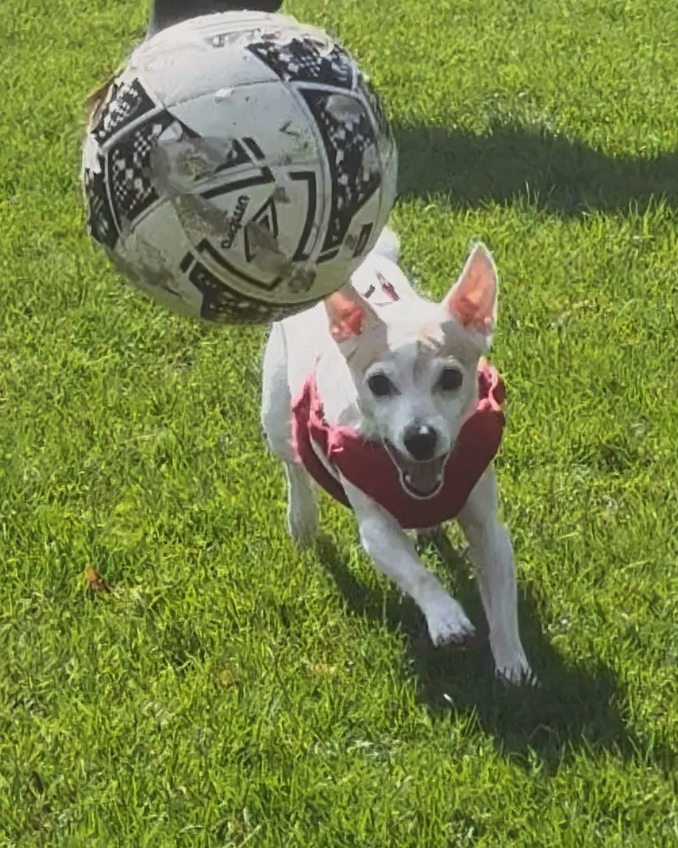 FullSizeRender_VSCO 31