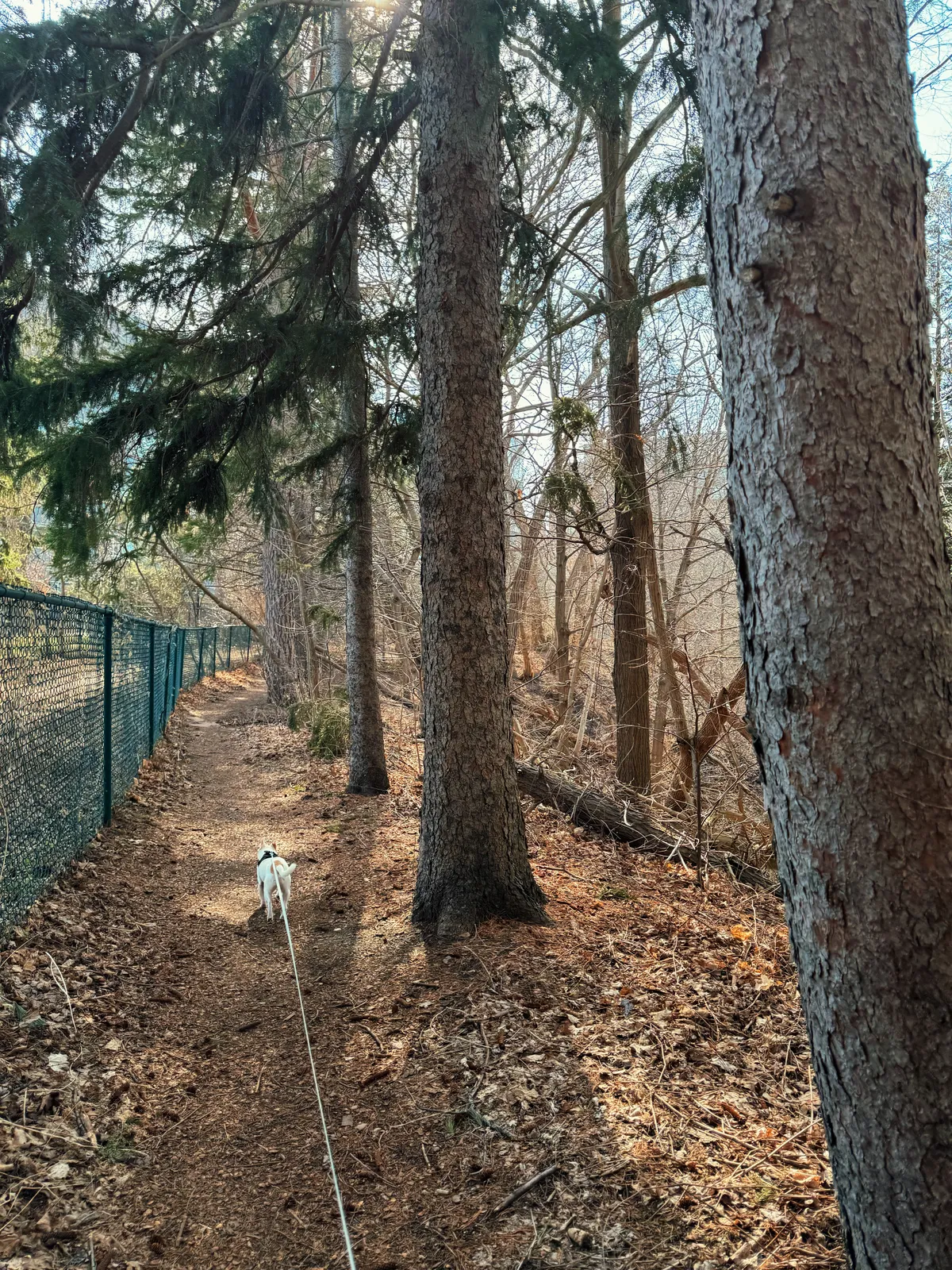 IMG_1784_VSCO 2