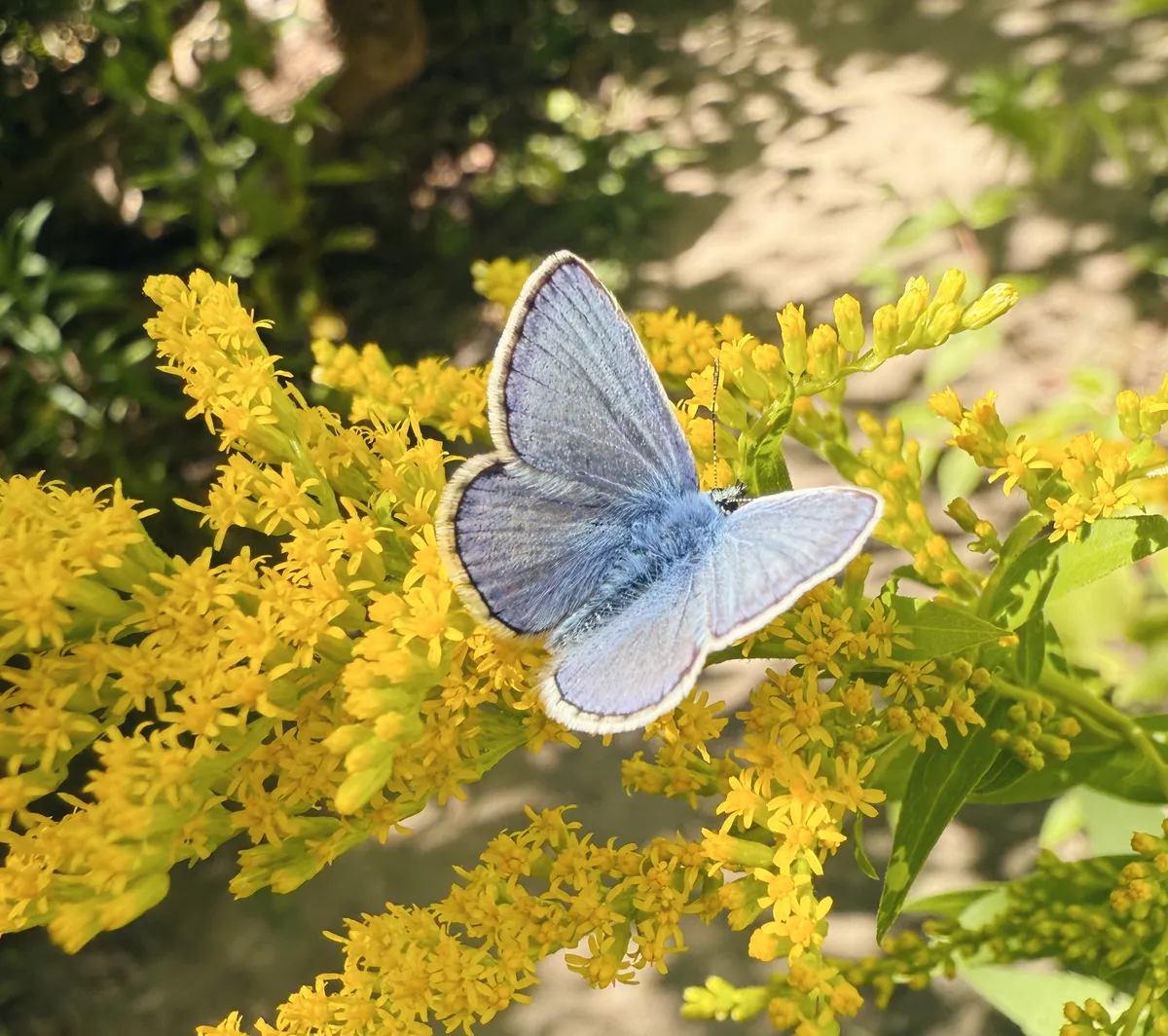 IMG_3524_VSCO