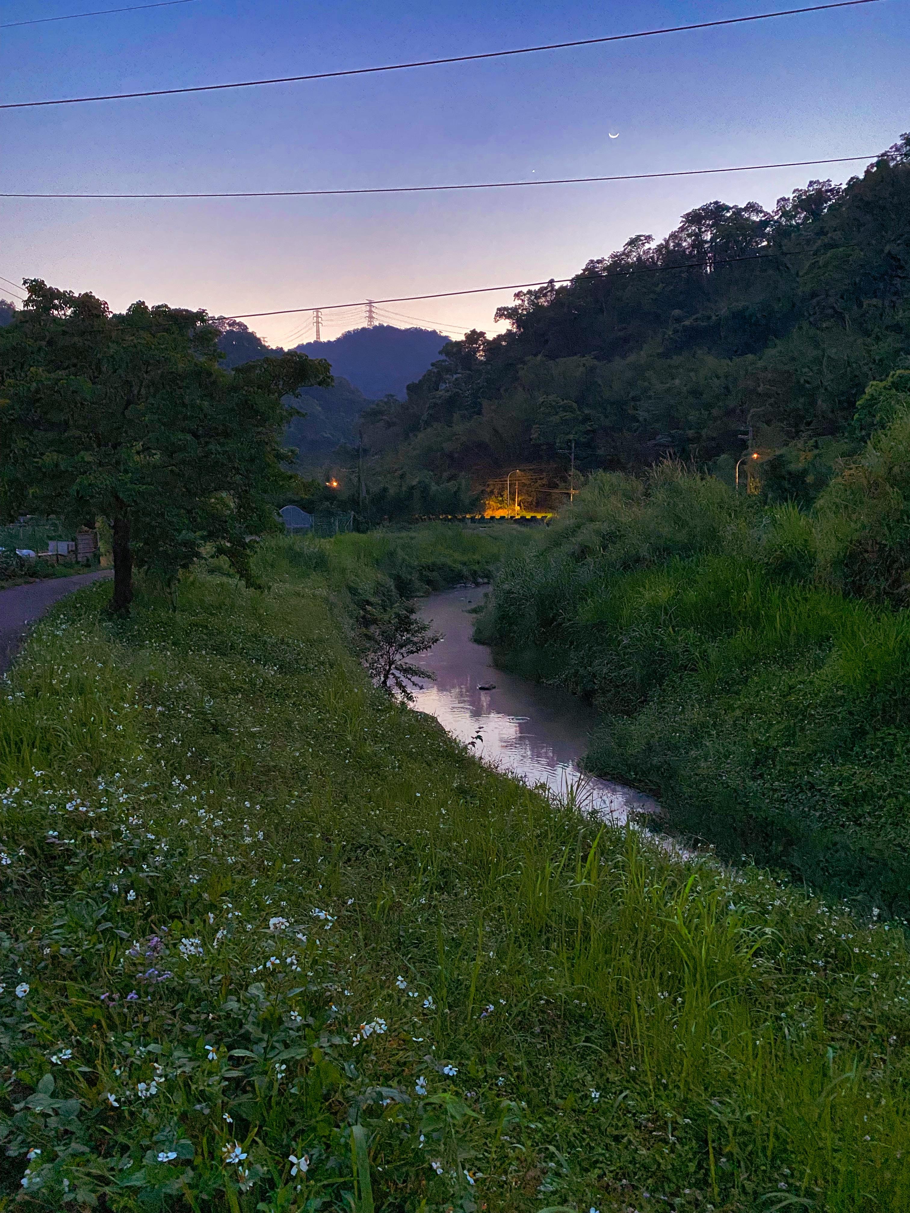 A lush, green area with a river running through 