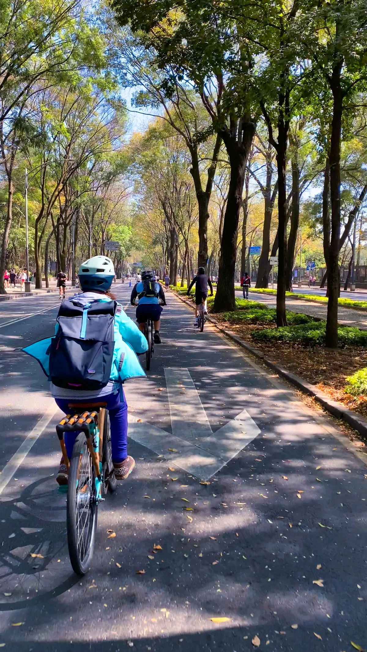 Timeline 1_01_00_11_03