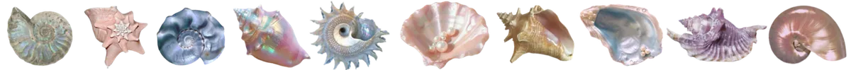 shellzdiv
