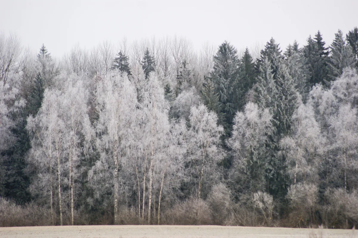 Cheatsheet image example