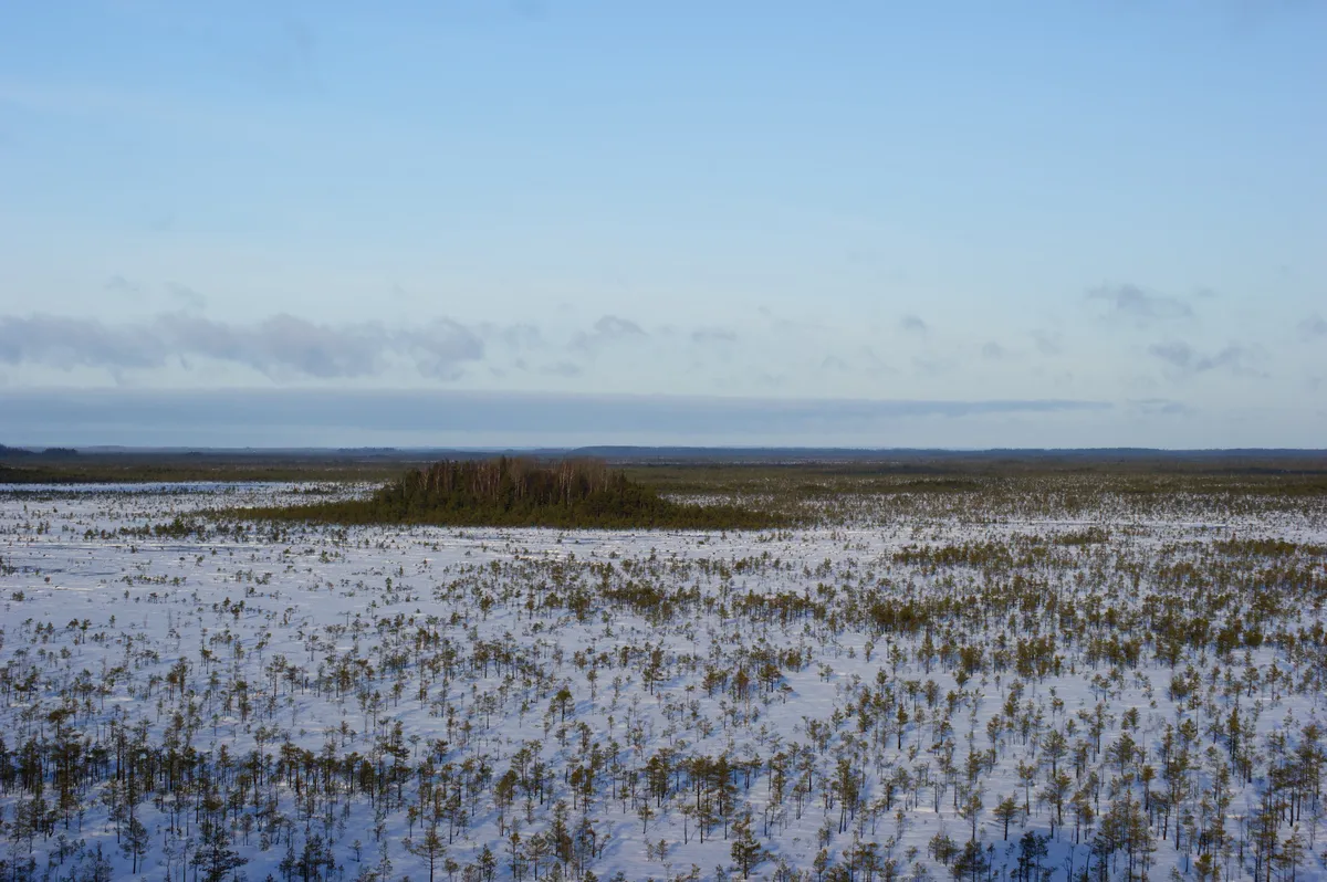 Cheatsheet image example