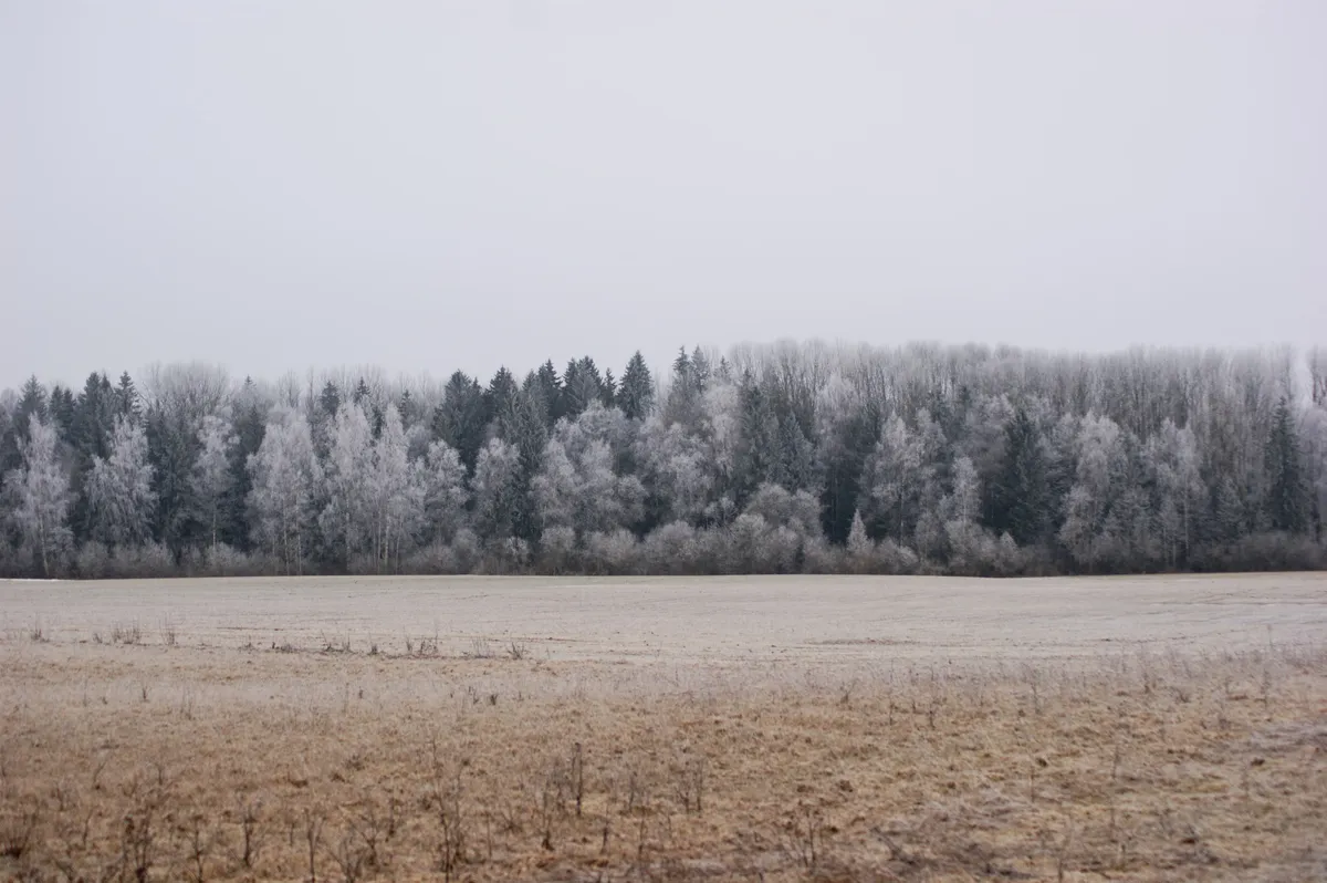 Cheatsheet image example