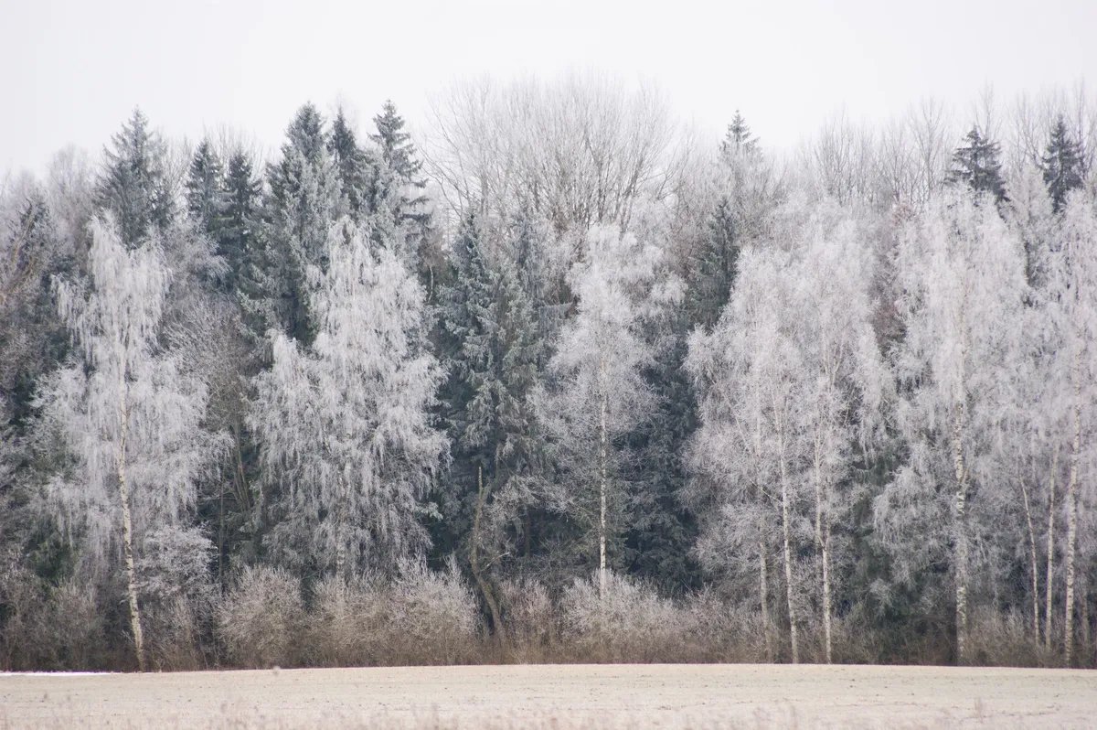 Cheatsheet image example