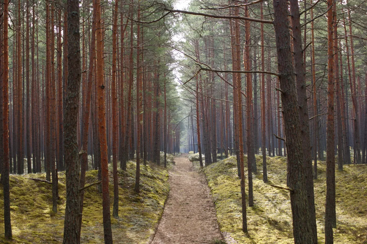 Cheatsheet image example