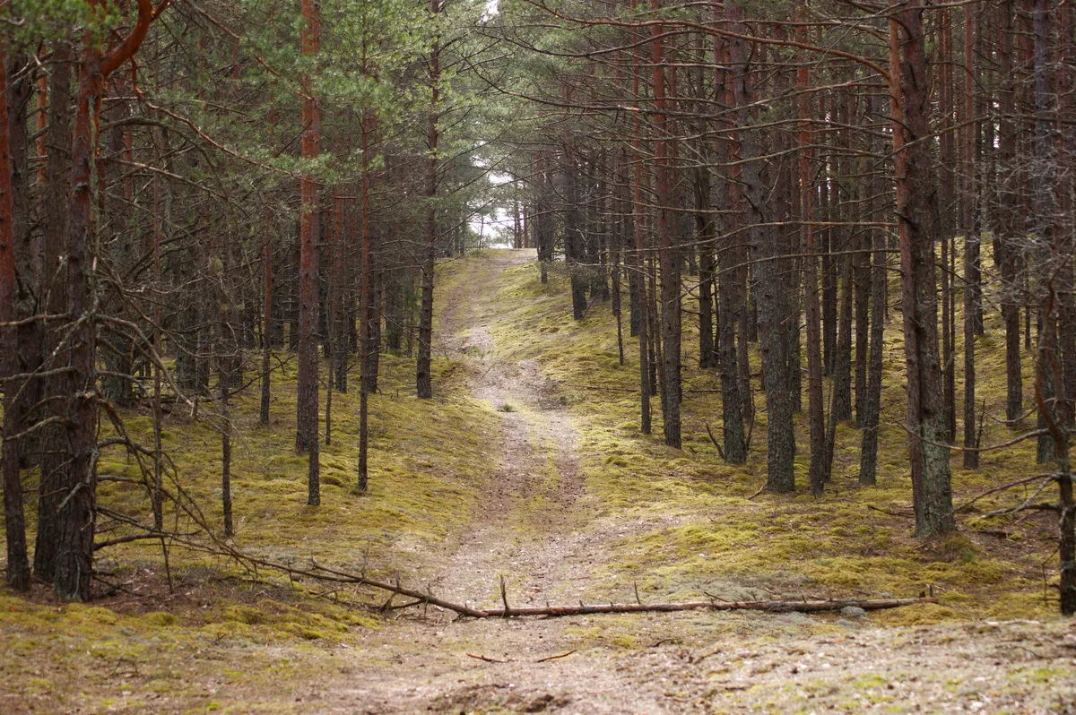 Cheatsheet image example