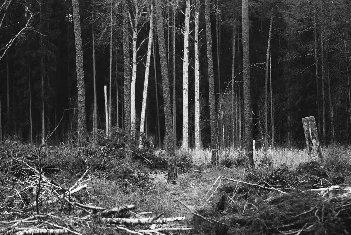 Cheatsheet image example