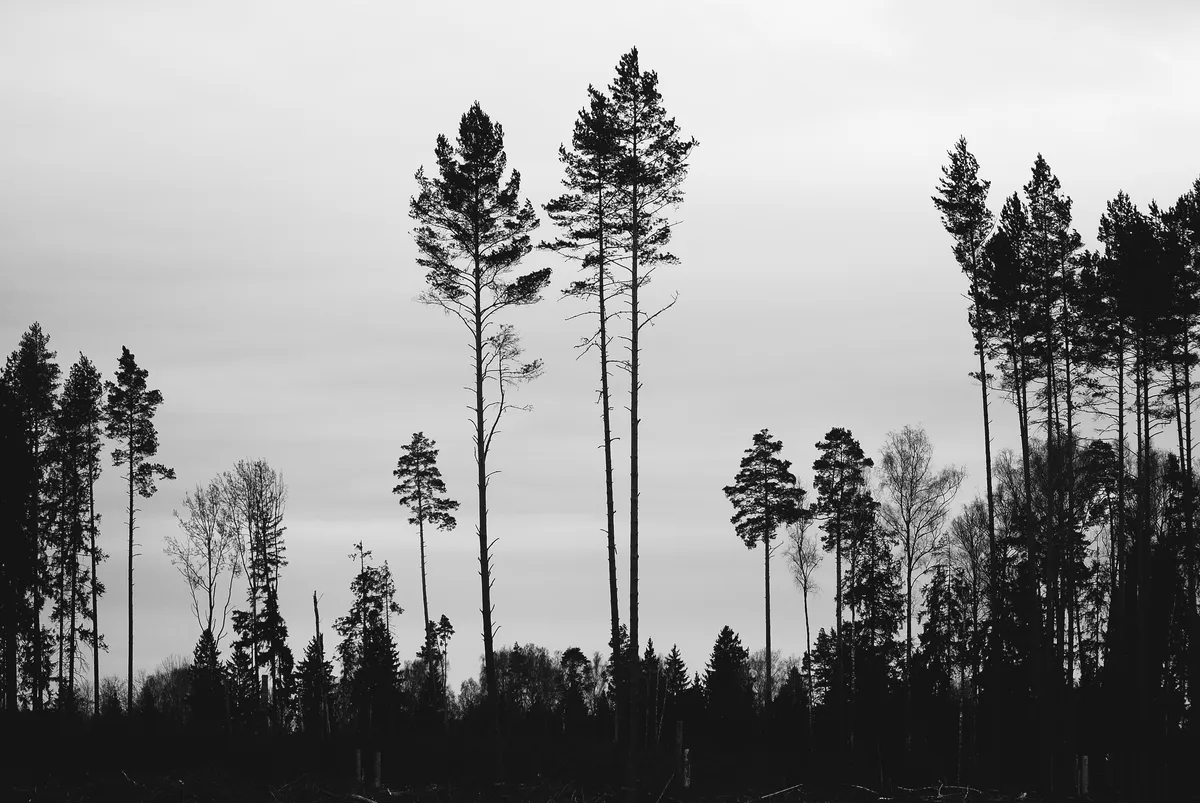 Cheatsheet image example