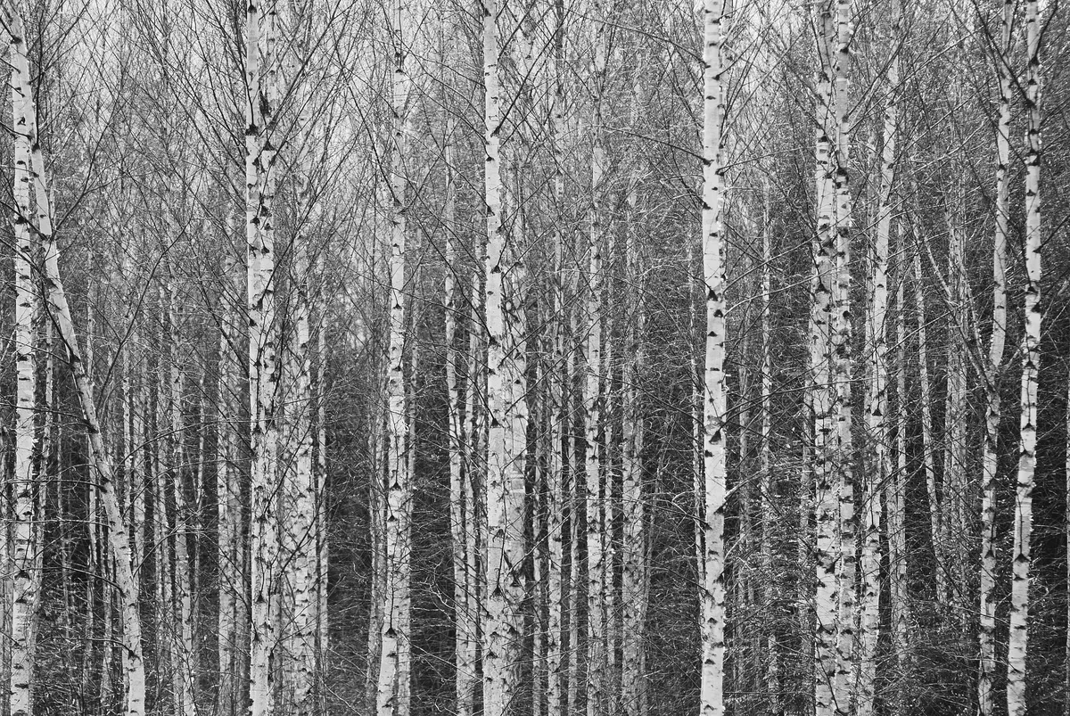 Cheatsheet image example