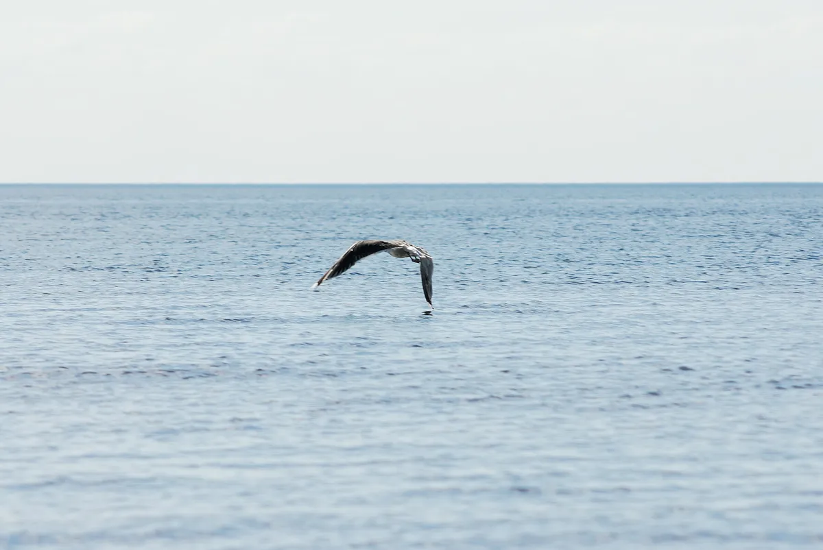 Cheatsheet image example