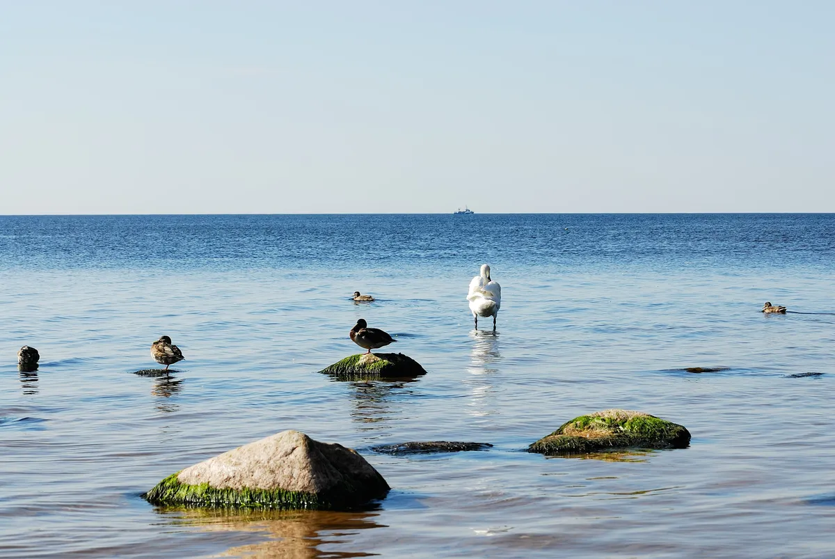 Cheatsheet image example