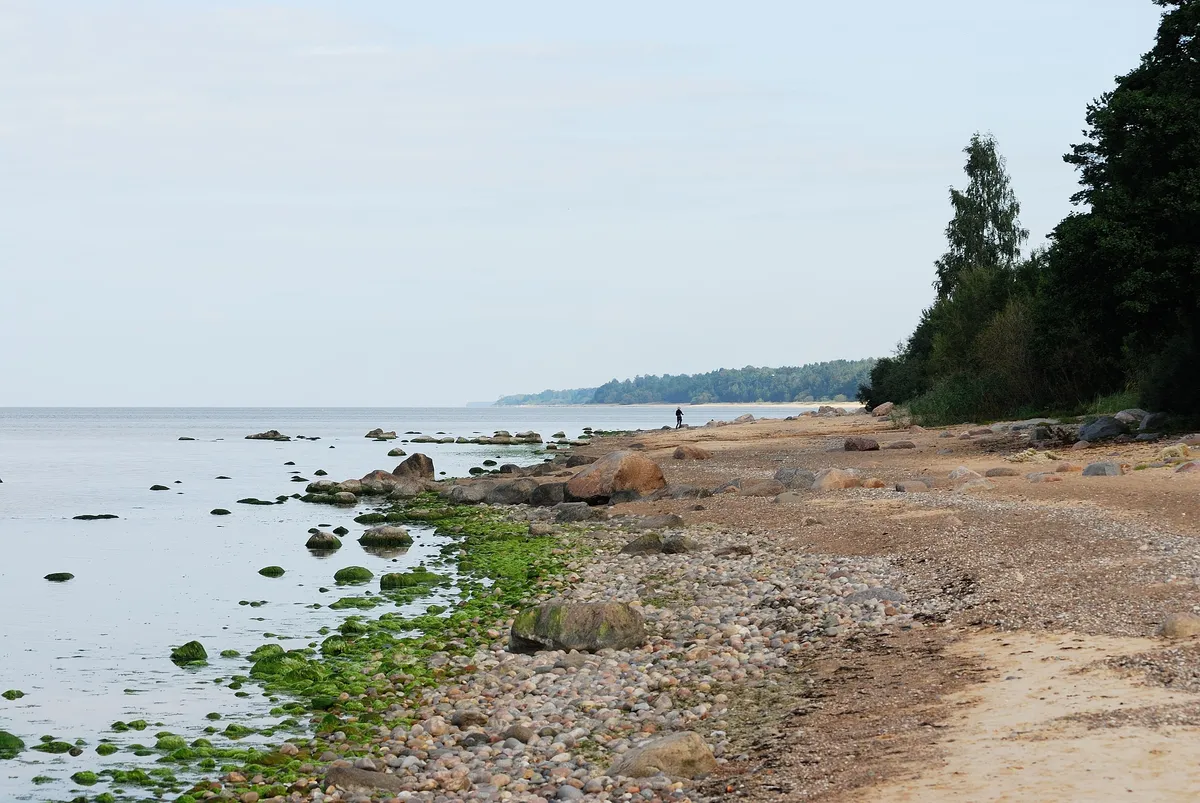 Cheatsheet image example