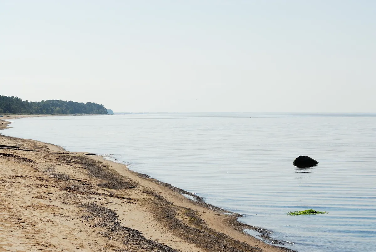 Cheatsheet image example