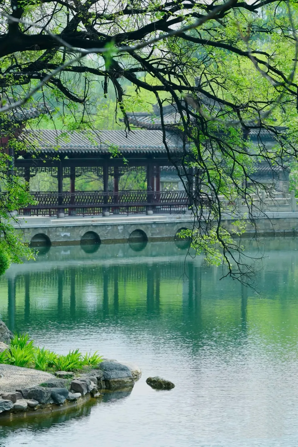 d58a37b0-38b4-11f1-8b58-2b6cbd797d6d