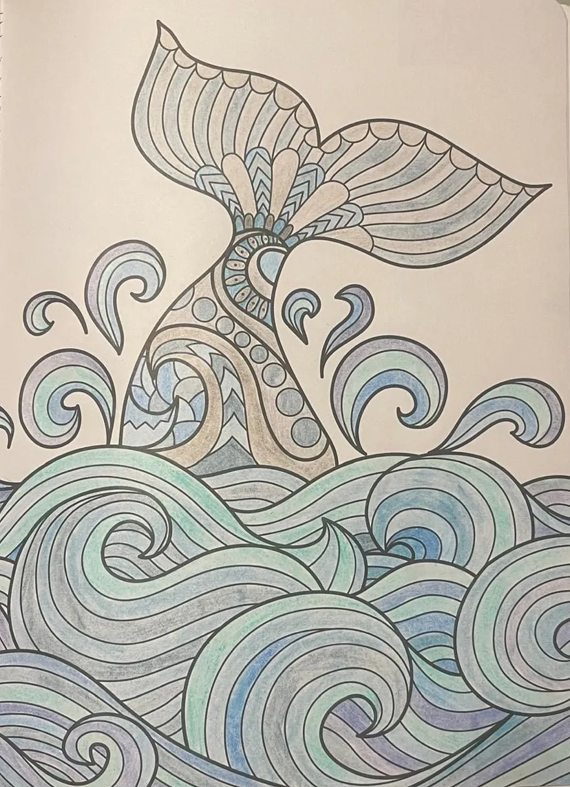 Screen Shot 2026-02-08 at 19_1770589014223