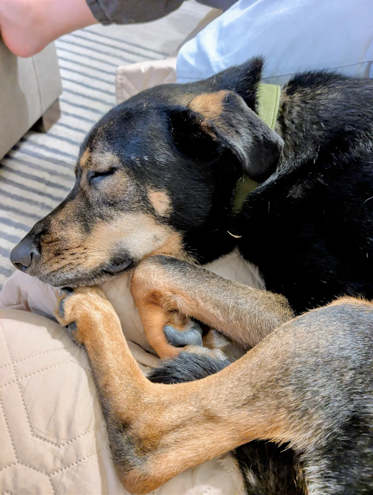 39c15726-20e1-4609-bf65-0fd5995cd1d0~1