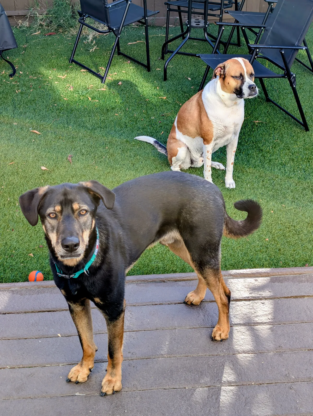 7d09780c-de1c-41d3-9a44-6fafeb3e4ec2~1