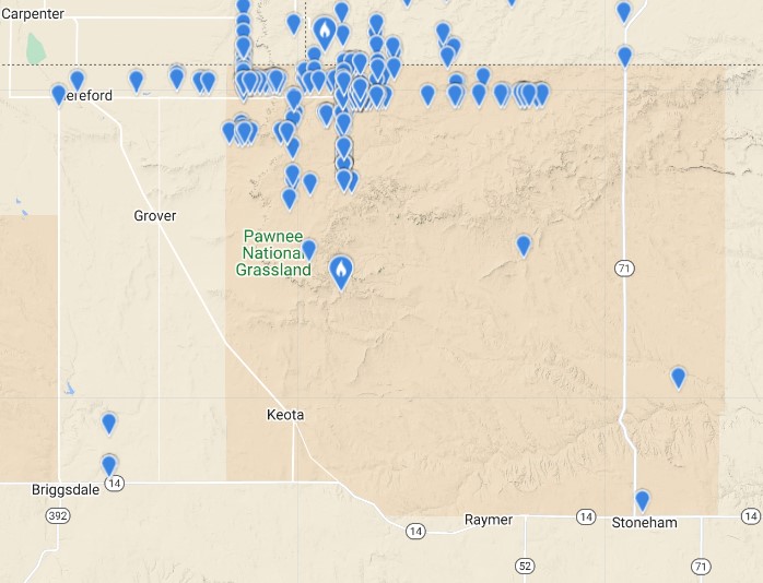 West Denver Birder