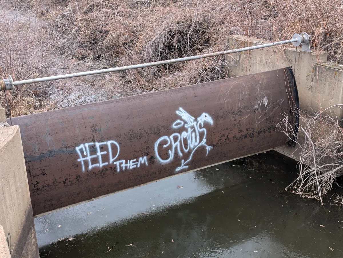 feedthemcrows
