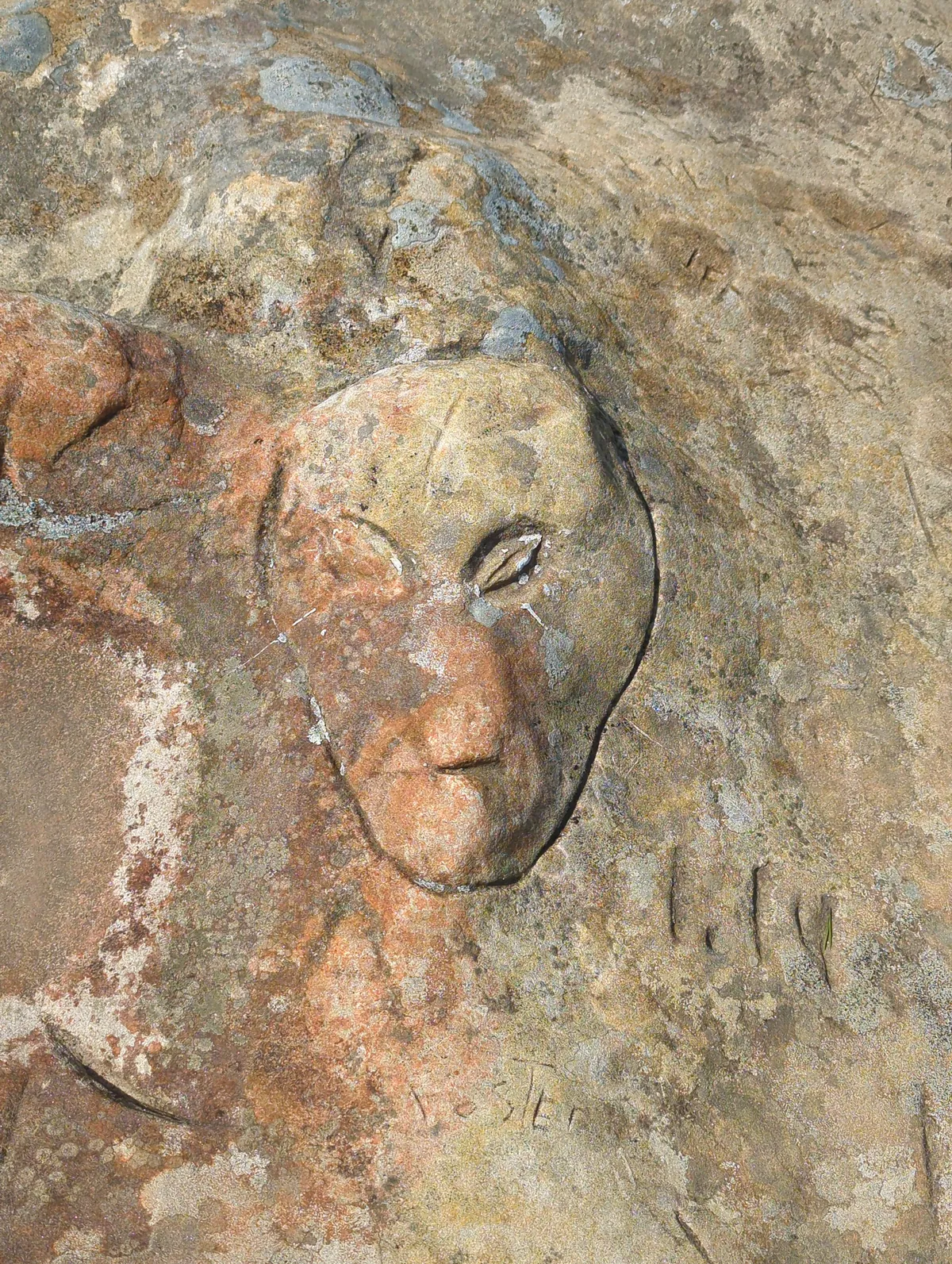 IMG_20260314_125451_425