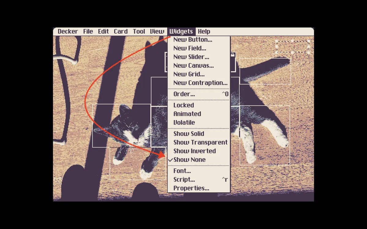 Picture of the cat with transparent boxes over him. A window is open over him with a red arrow pointing from "widgets" to "show none".