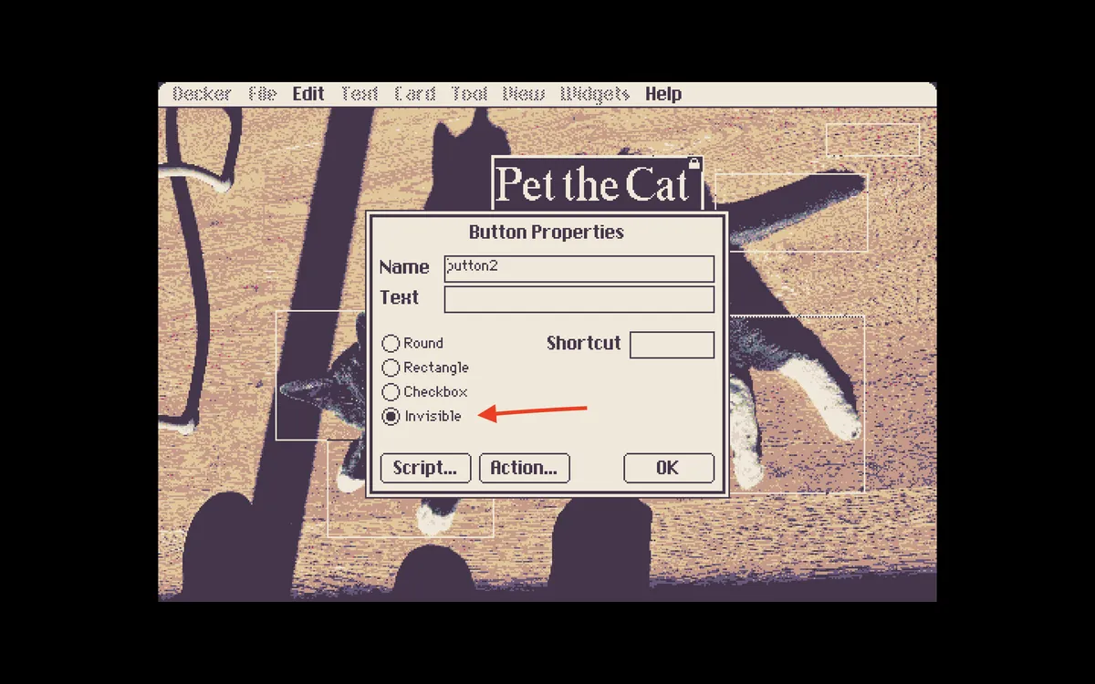 Picture of the cat with transparent boxes over him. A window is open over him with a red arrow pointing to the word "invisible".