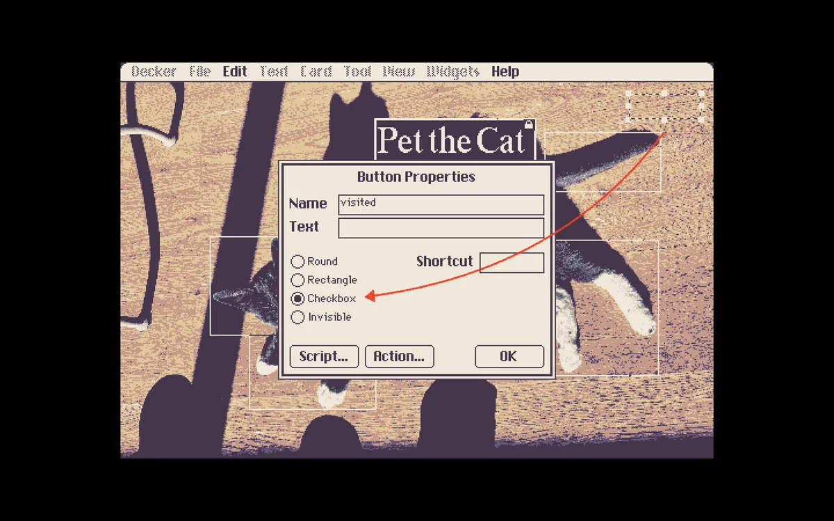 Picture of the cat with transparent boxes over him. A window is open over him with a red arrow pointing from an invisible box to the word "checkbox".