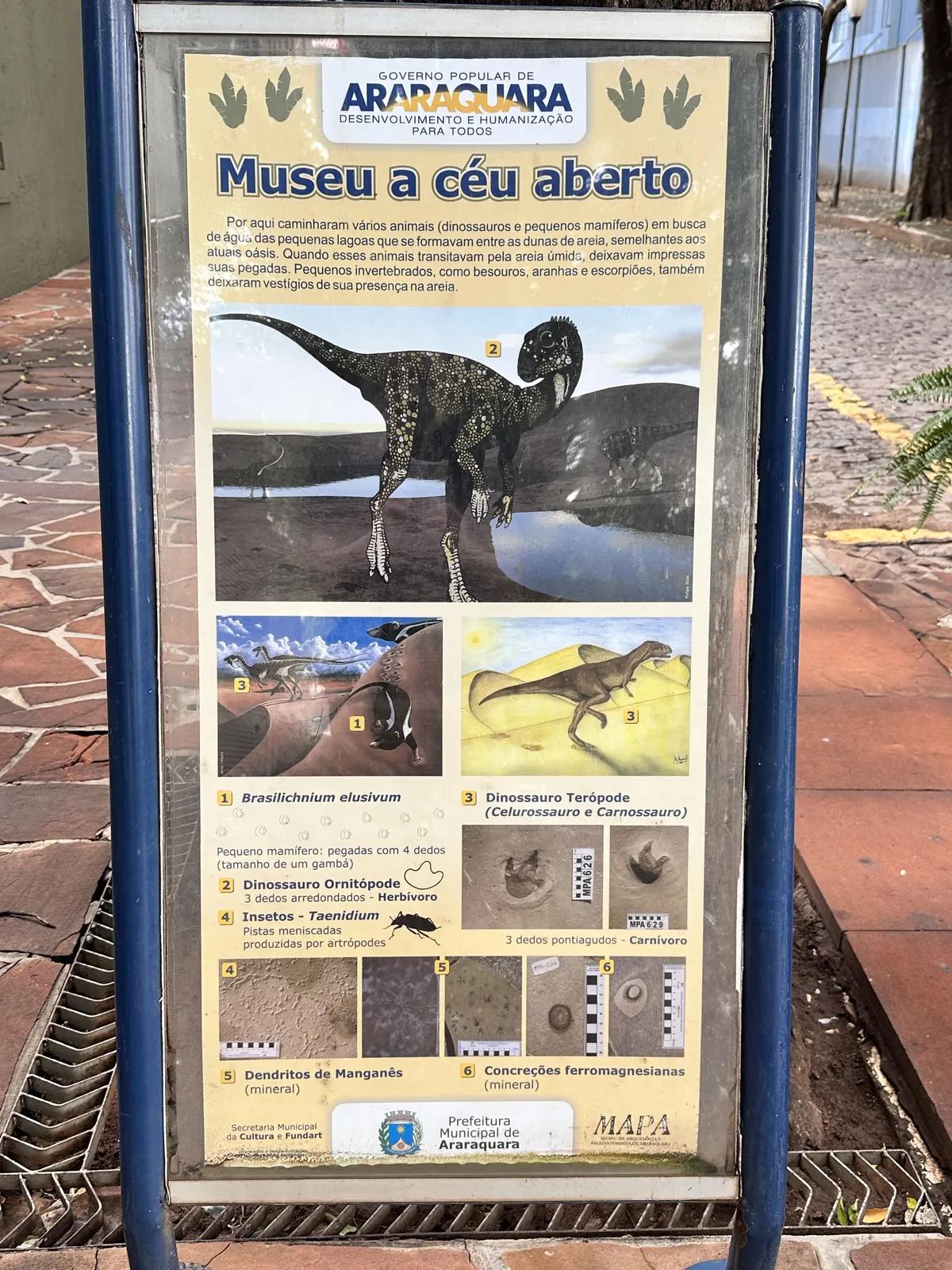 The first placard talking about the fossilized footprints.