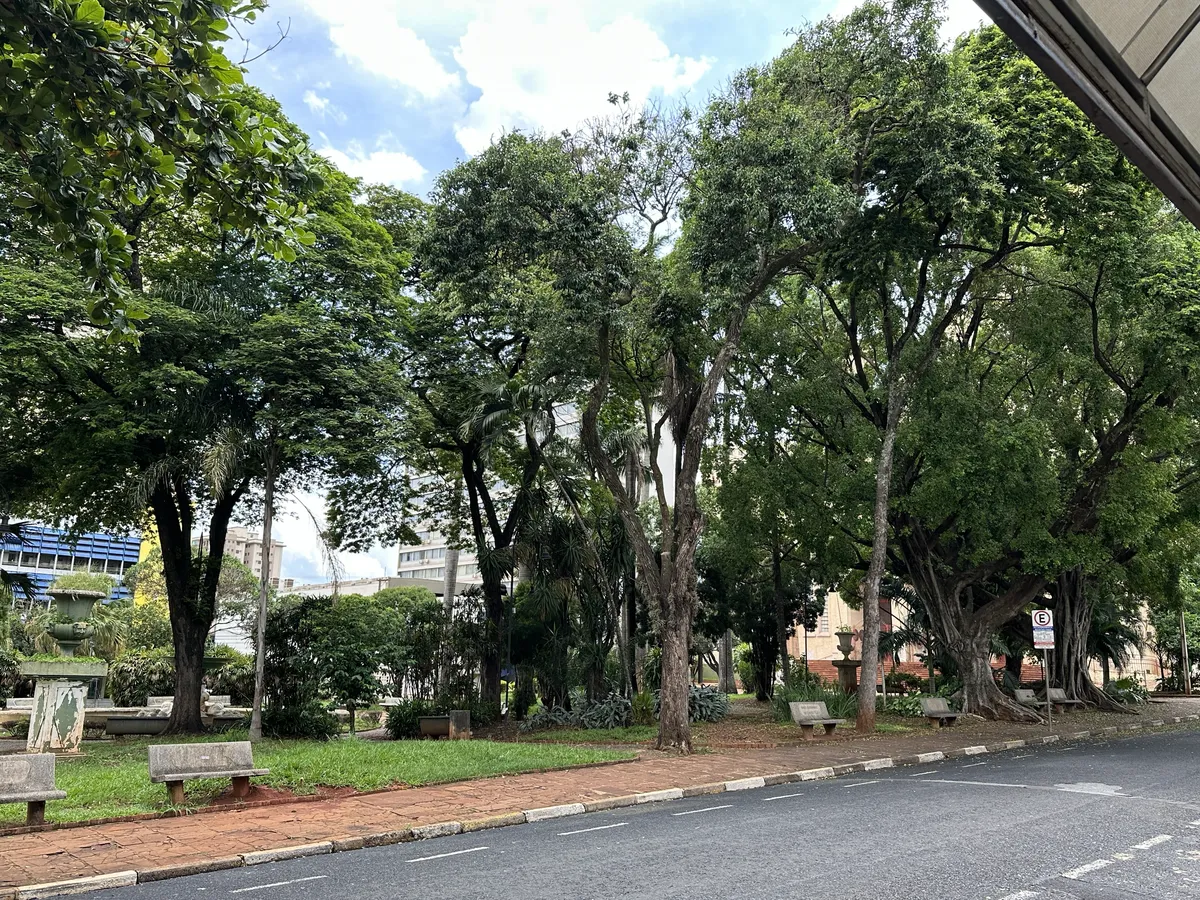 Same square as before, but from a side street showing more of the trees.