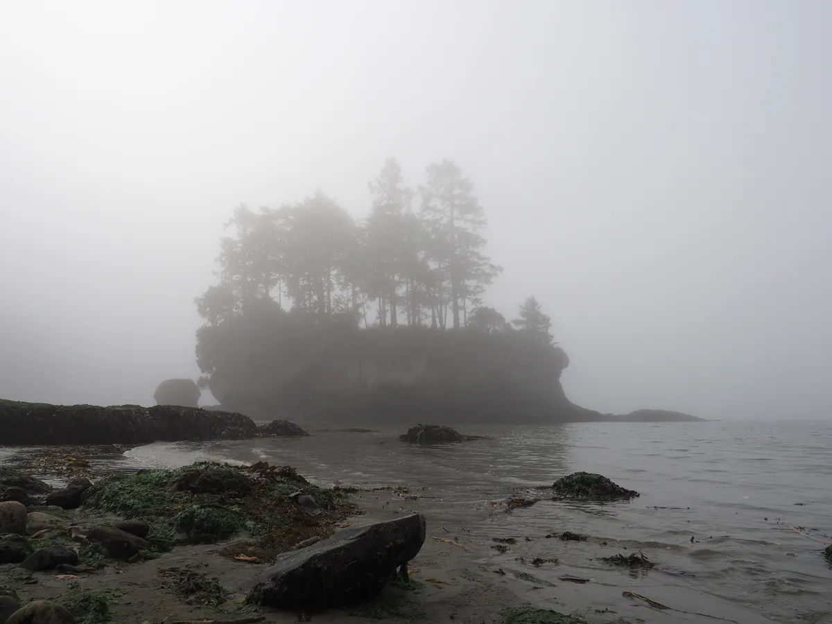 P1010274