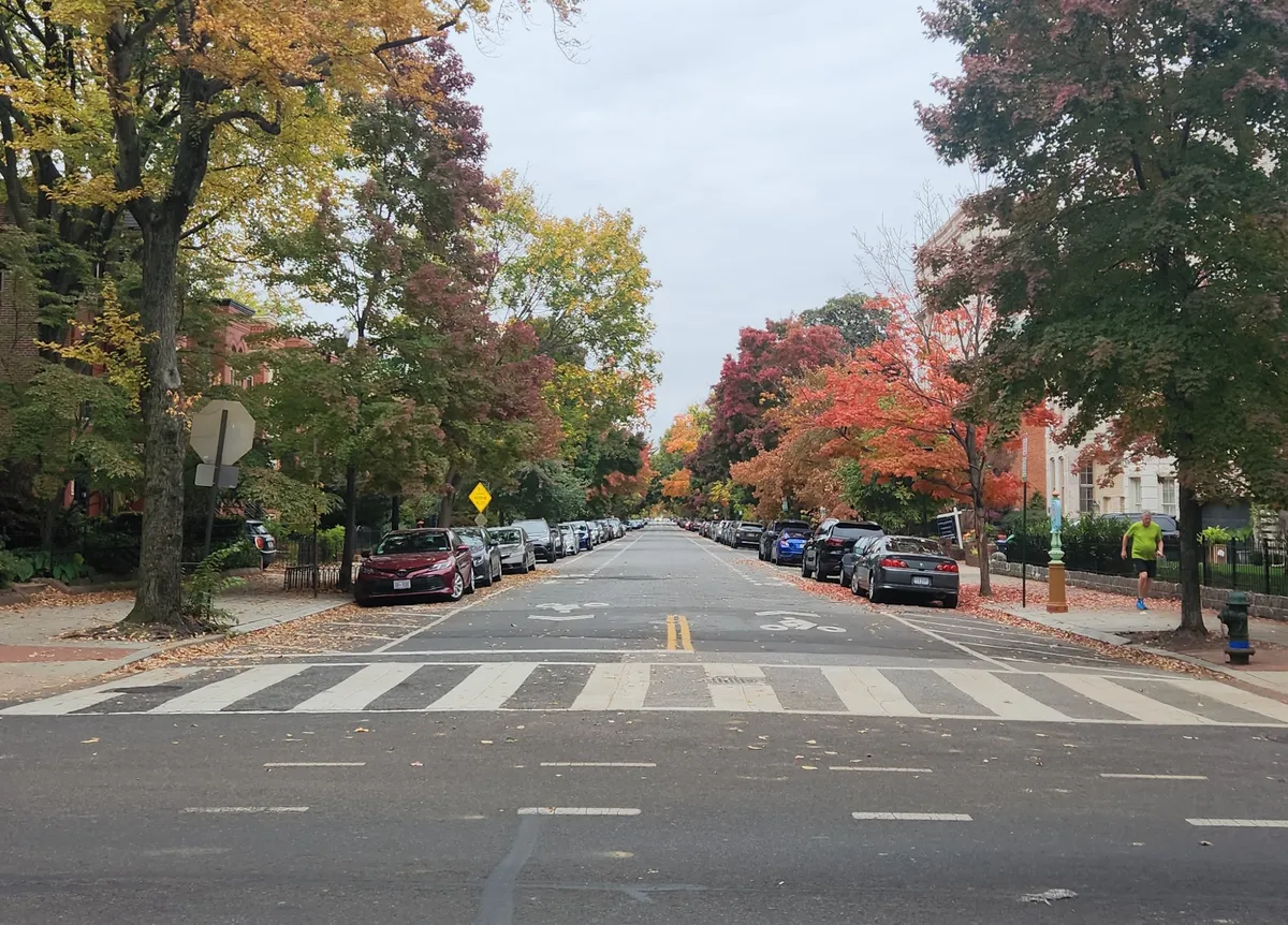 orange and red trees lining a city street block