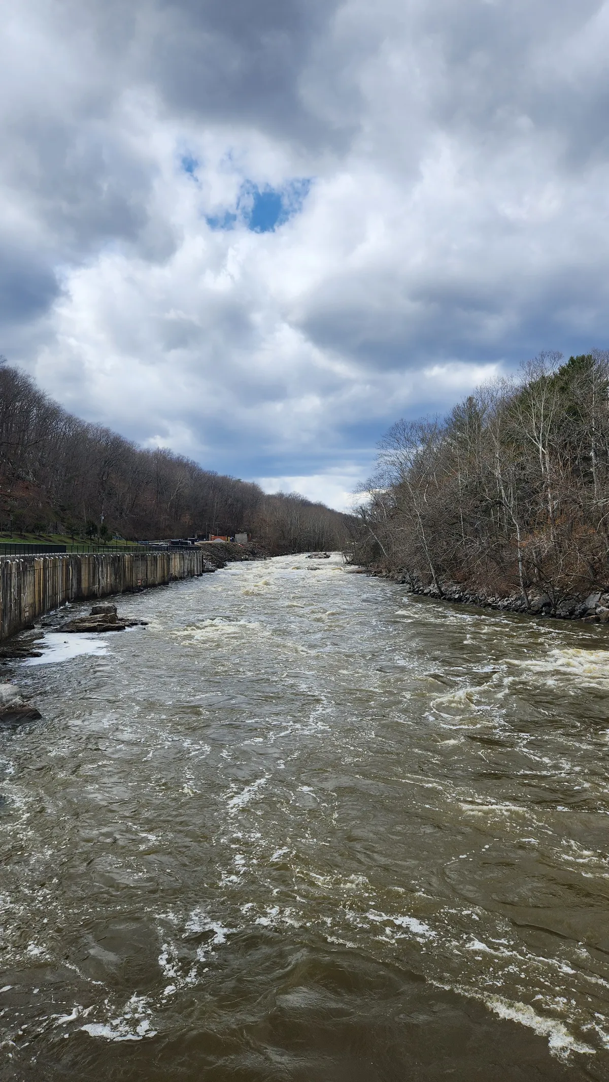 River water over the side of a bridge with leafless trees on either side