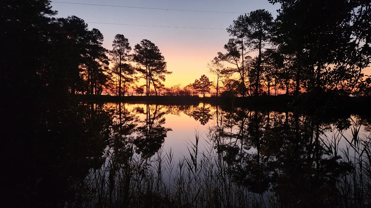 Sunrise against the silhouette of trees