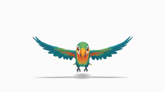 Parrot landing animation
