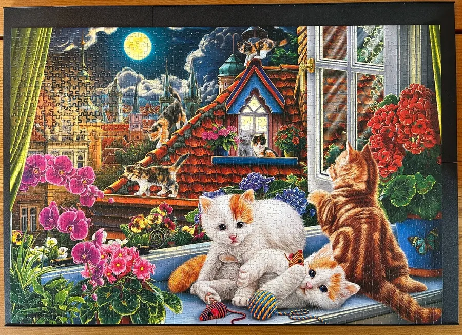 Kittens