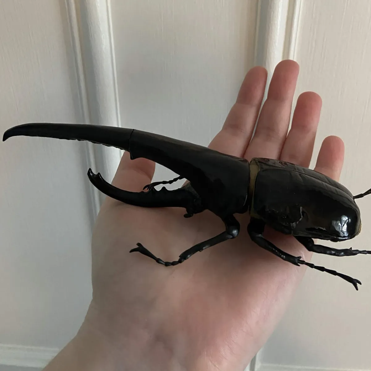 bugcard