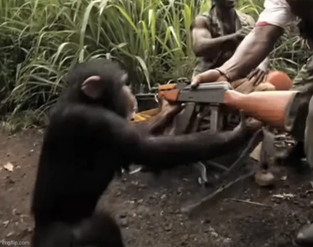 monkey_ak47