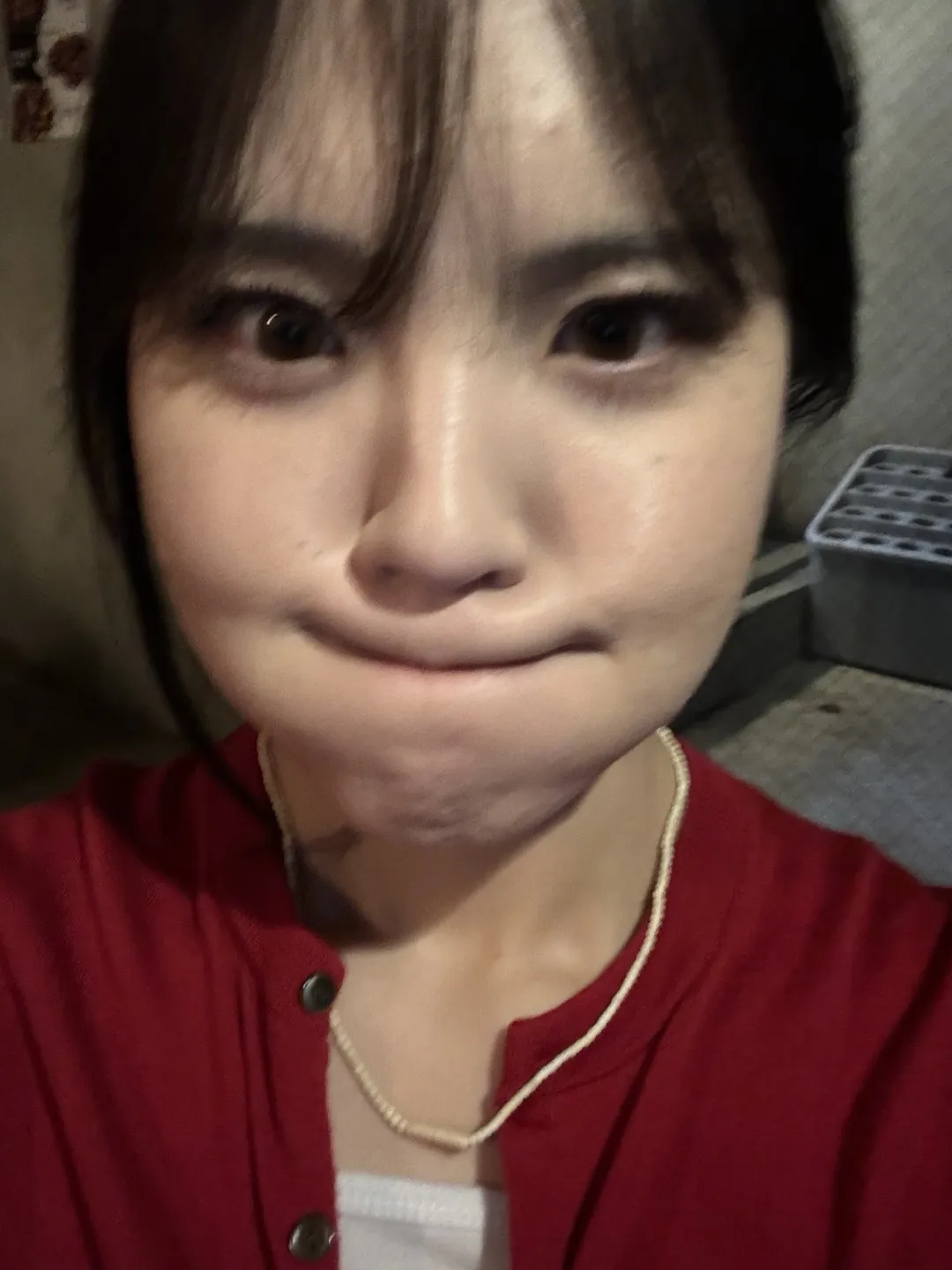 하지니