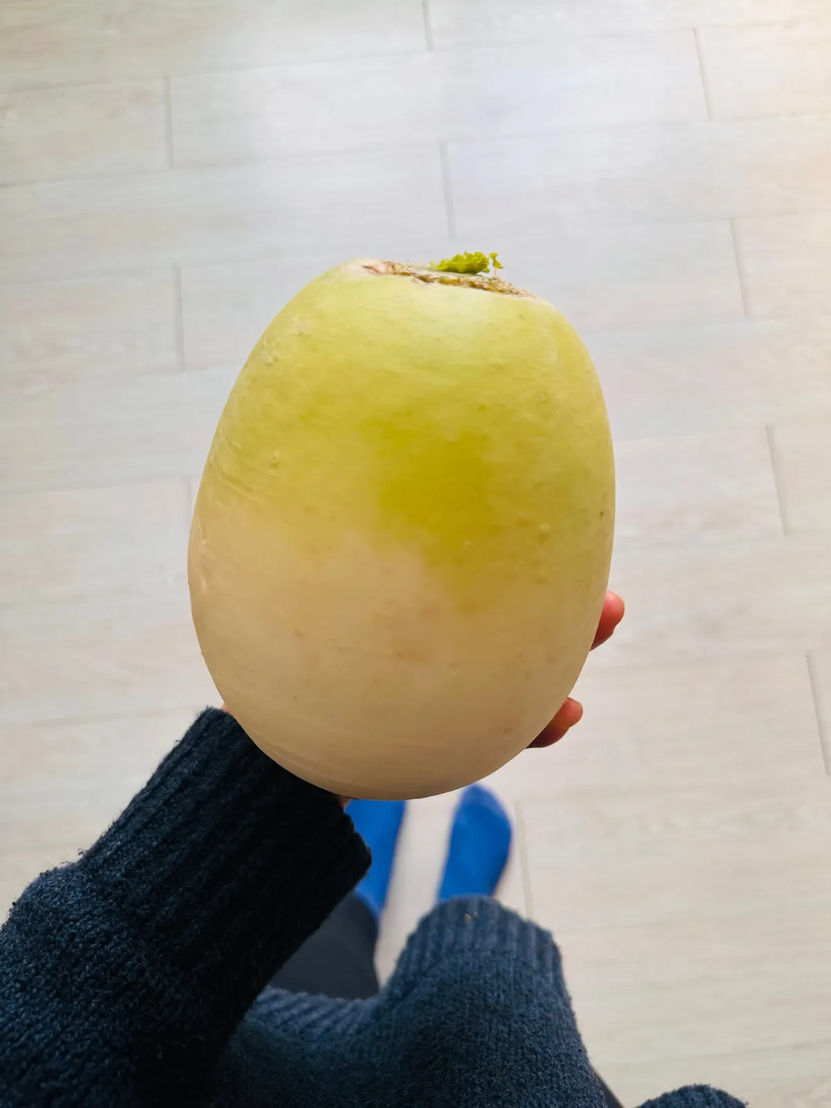 미스코리아진선무