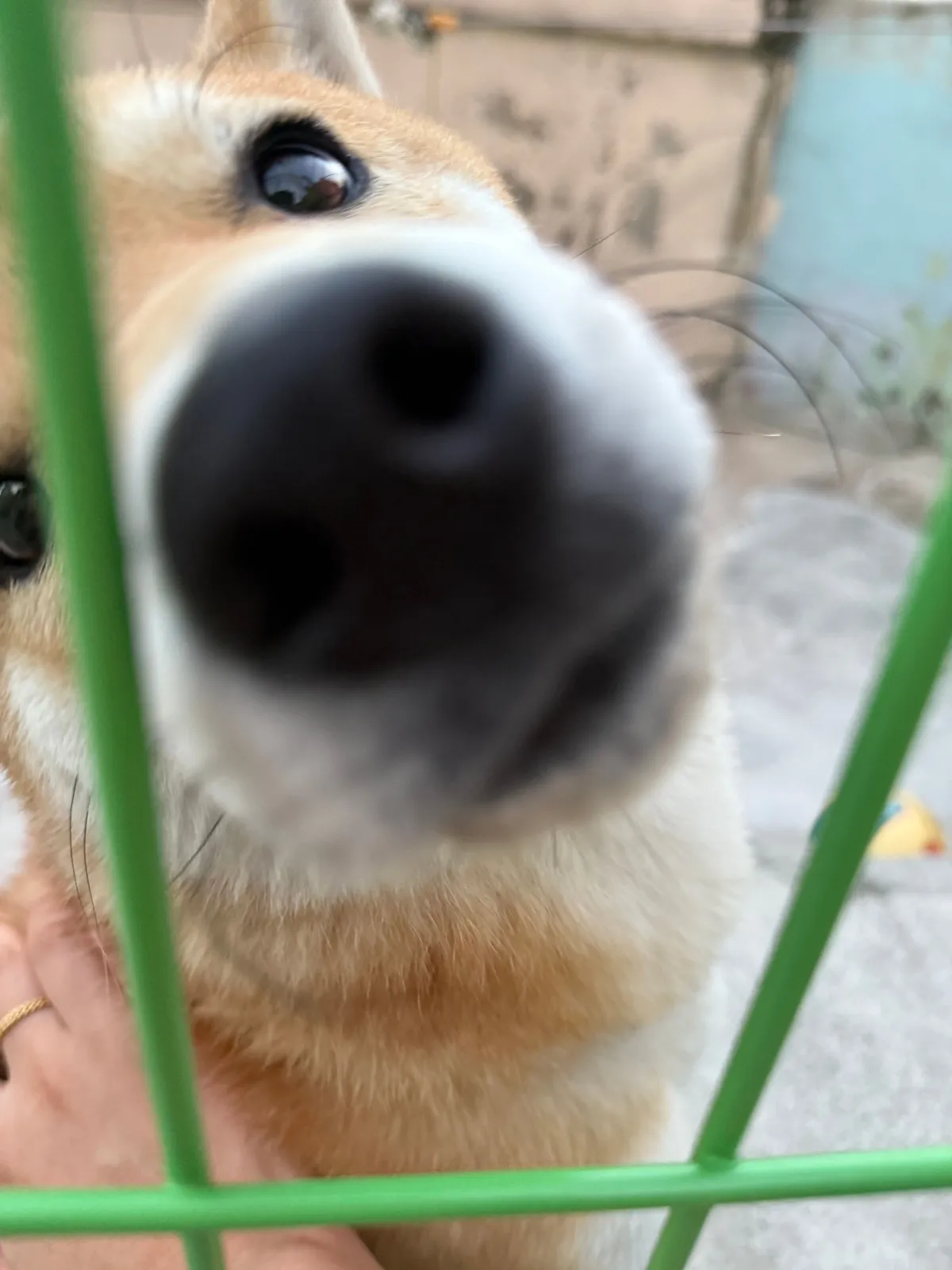 복길