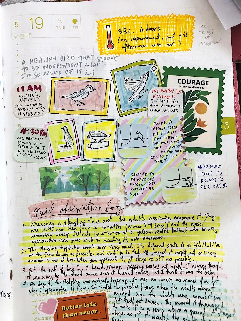 full physical journal page with accompanying drawings of the bird hopping, flying, and perching