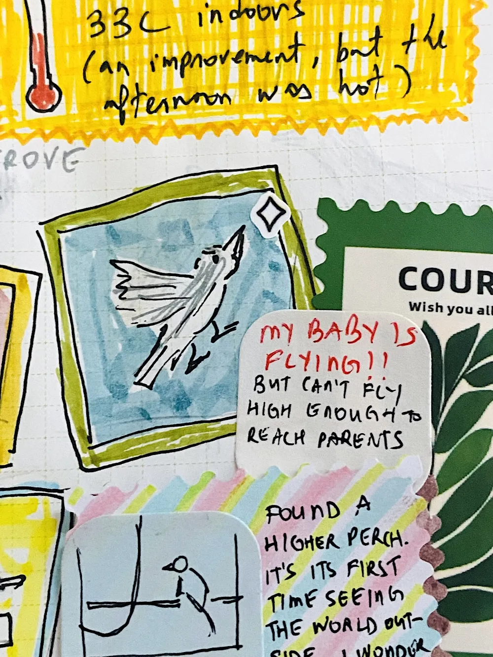 journal entry: MY BABY IS FLYING!!! but can't fly high enough to reach (its) parents